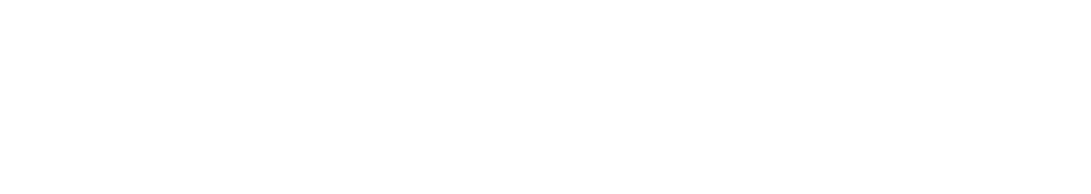 Aurvista